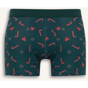 Yıkbaşı Temalı Regular Fit Boxer F5482AX25WN