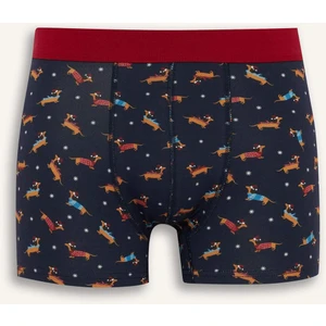 Yılbaşı Temalı Regular Fit Boxer F9914AX25WN