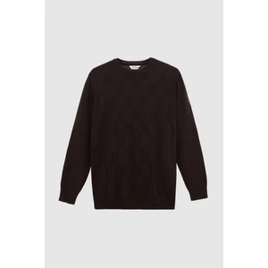 D'S Damat Ds Damat Regular Fit Kahverengi Kazak 3HC060192001M