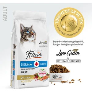 Kolajen Destekli Hipoalerjenik Somonlu Yetişkin Kedi Maması 12KG