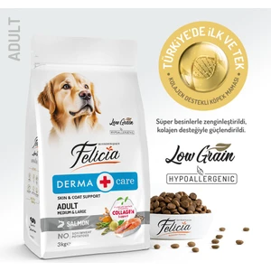 Kolajen Destekli Hipoalerjenik Somonlu Yetişkin Köpek Maması 3KG