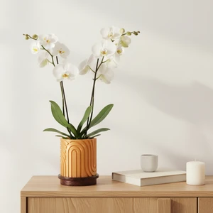 Norla Dekoratif Vazo - Gold / Ahşap Tabanlı