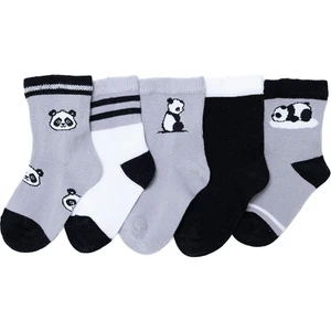 Hellobaby Erkek Bebek 5'li Soket Çorap