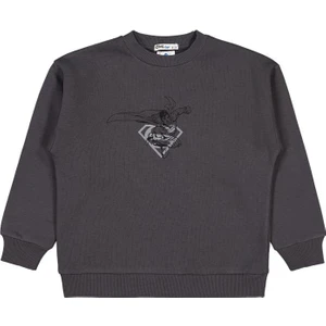 Logo Baskılı 6-9 Yaş Sweatshirt
