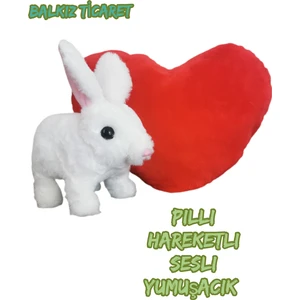 Pilli Zıplayan Oyuncak Tavşan