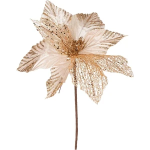 Yılbaşı Çiçeği Şampanya 30 Cm.