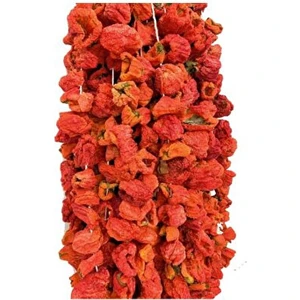 Türkiyem Organik Ürünler Antep Kuru Dolmalık Biber Tatlı 1 Ip (45-50 Adet)