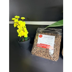 Sofra By Saffron Tane Yenibahar