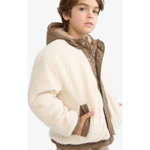 Erkek Çocuk Kapüşonlu Çıtçıtlı Fermuarlı Pelüş Mont C6620A825WN