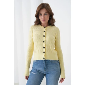 Kadın Bisiklet Yaka Düğme Detay Saç Örgü Yumuşak Dokulu Triko Hırka