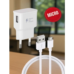 12W 2.1A Usb +Micro Girişli  Adaptör ve Kablo Hızlı Şarj Aleti Seti TN-C01