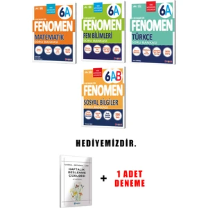 Fenomen Yayıncılık Fenomen Yayınlıcılık 6.sınıf A Grubu 4'li Set (Güncel)