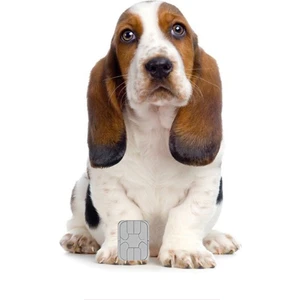 Kart Kaplama Sticker Banka Kredi Kartı Kaplama Stickeri KK1303