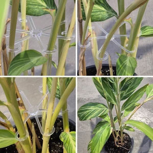 Bitki Gövde Sabitleme ve Destek Klipsi 4 Adet