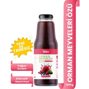Havran Kocaseyit Orman Meyve Özü 1350 g