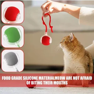 Kedi ve Köpek Ipli USB Şarzlı Hareketli Top