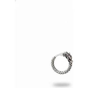 Ejderha Figürlü Halka Geçirmeli Deri Desenli Erkek Çelik Küpe