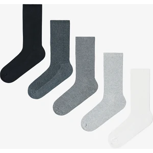 5 Çift Pamuklu Ribli Renkli Soket Çorap