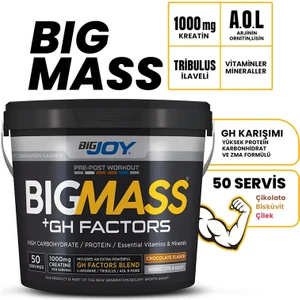 Bigjoy Sports Bigjoy Bigmass Gainer Gh Factors Çikolatalı Karbonhidrat 5000 Gr