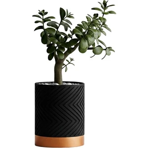 Fibrika Store Linea Noir – Modern Saksı