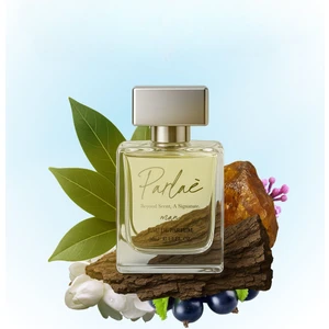 Erkek Parfüm - Favori ve Kalıcı Defne Yaprağı Okyanus Amber ve Meşe Notaları 50 ml Parfum