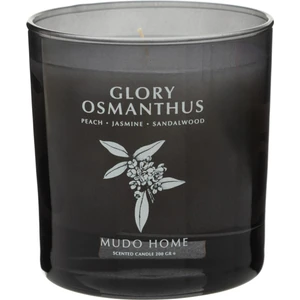 Mudo Home Glory Osmanthus Mum 200GR