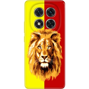 Xiaomi Redmi Note 15 Pro 5g Kılıf Renkli Silikon Baskılı Tpu Sarı Kırmızı Parçalı Aslan