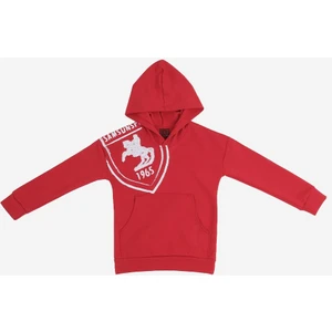 Arma Baskılı Kapüşonlu Çocuk Sweat