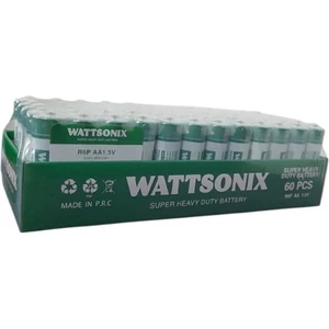 R6P Aa Kalem Pil 60'lı