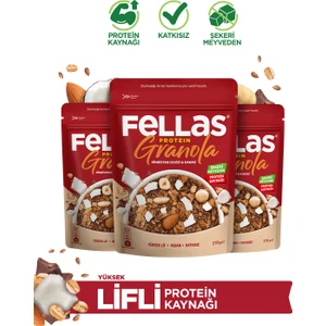 Protein Granola -Hindistan Cevizi 270g x3