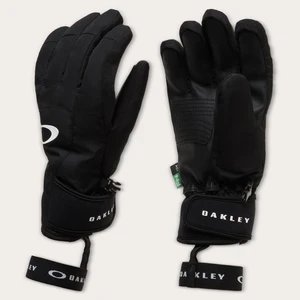 Powder Ridge Erkek Eldiven