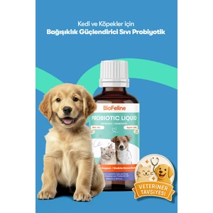 BioFeline Kedi ve Köpekler İçin Sıvı Probiyotik 100 ml