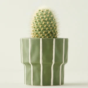 Bella Maison Ruvia Saksı Yeşil (13X13X13 Cm)