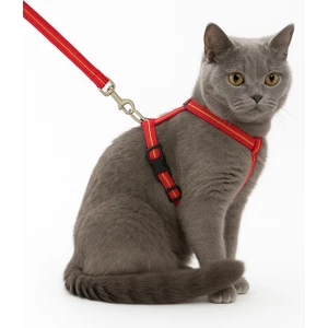 Kedi Tasması – Ayarlanabilir Dayanıklı Evcil Hayvan Tasması 1.20M