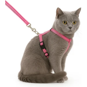 Kedi Tasması – Ayarlanabilir Dayanıklı Evcil Hayvan Tasması 1.20M