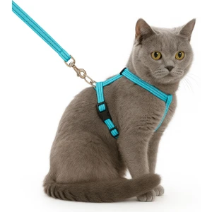 Kedi Tasması – Ayarlanabilir Dayanıklı Evcil Hayvan Tasması 1.20M