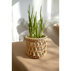Ss Eral Koop Dekoratif Çok Amaçlı Doğal Hasır Saksı Sepet 10X10 cm