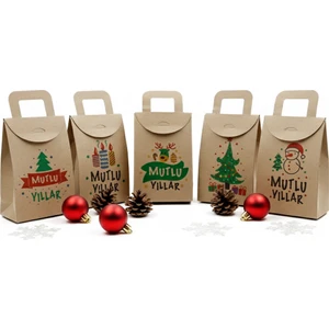 Repro Design 10×15 Yılbaşı Temalı Çanta Model Kutu 5 Adet Farklı Model Şık Tasarım