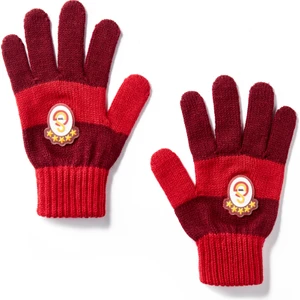 Gs Store Galatasaray Çocuk Eldiven C252199