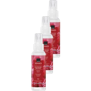 Raspberry Delight Frambuaz ve Frenk Üzümü Kokulu Bodymist 100 Ml. Üçlü Set