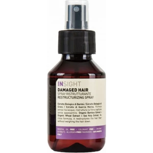 İnsight Damaged Hair Restructurizing Onarıcı Sprey 100 ml