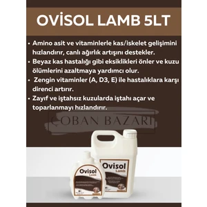 royal ilaç royal  ovisol lamb 5 lt