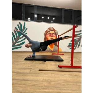 Assa Spor BL-003-K Bale Barı Taşınabilir Kırmızı