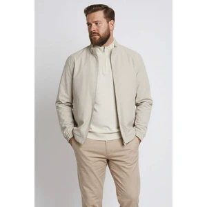 Regular Fit Dik Yaka Fermuarlı Cepli Mevsimlik Baharlık Mont D6330AX25SP