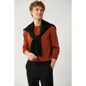 Avva Erkek Kiremit Bisiklet Yaka Tüylenmeyen Triko Regular Fit Kazak E005000