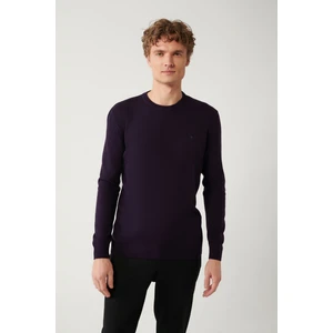 Avva Erkek Mürdüm Bisiklet Yaka Tüylenmeyen Triko Regular Fit Kazak E005000