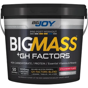 BIGMASS Gainer GH FACTORS Çilek Aromalı 5000g