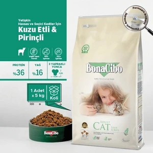 Adult Cat Lamb & Rice Kuzu Etli ve Pirinçli Yetişkin Kedi Maması 5 kg