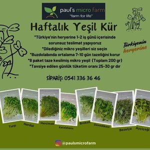 Pauls Micro Farm Haftalık Mikro Yeşil Kür 200 gr