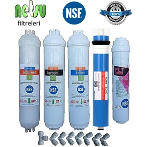 netsu arıtma Nsf-Çift Karbon Tüm  Kapalı Kasa Su Arıtma Cihazı Filtresi-5 li Filtre Seti-
